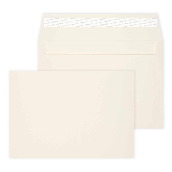 Booklet Peel & Seal Cookie Dough Cream 32# Envelopes 6 x 9 BX250