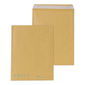 Blake Natural Kraft Envelopes 11 1/2 x 14 1/2 (10 5/8 x 14 1/8) BX100